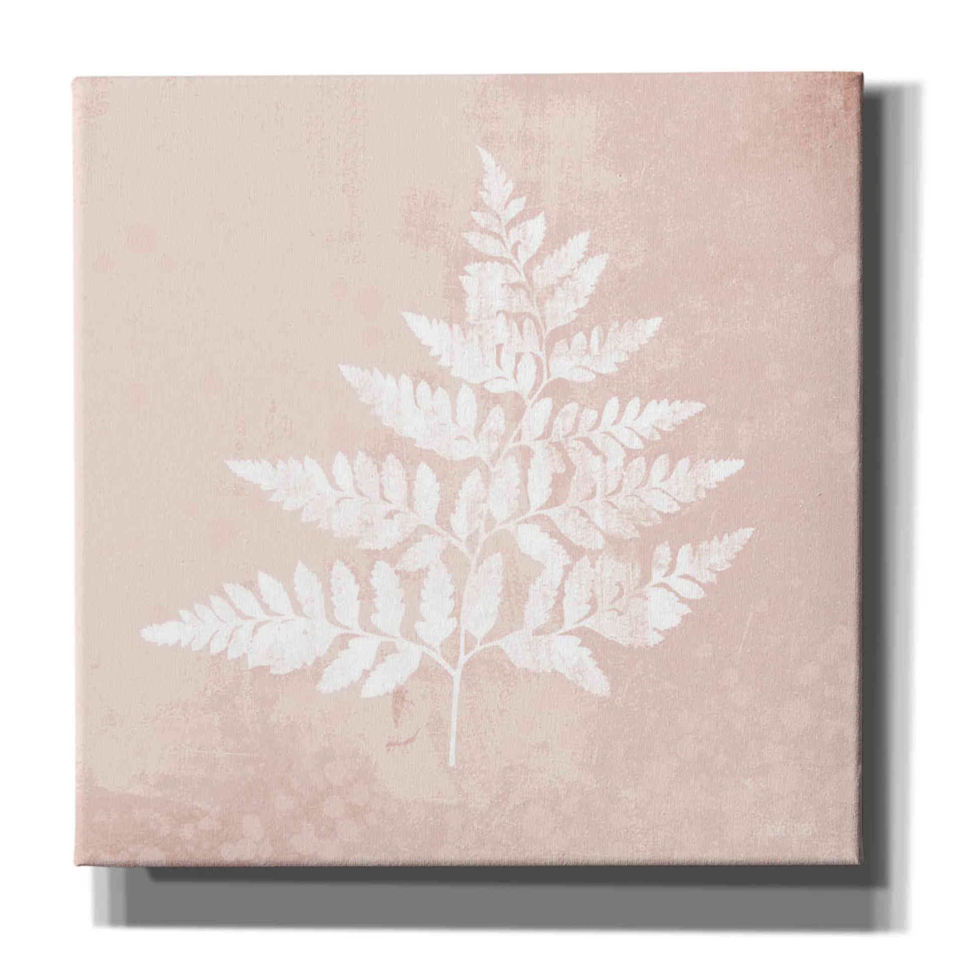'Blush Fern I' by House Fenway, Canvas Wall Art
