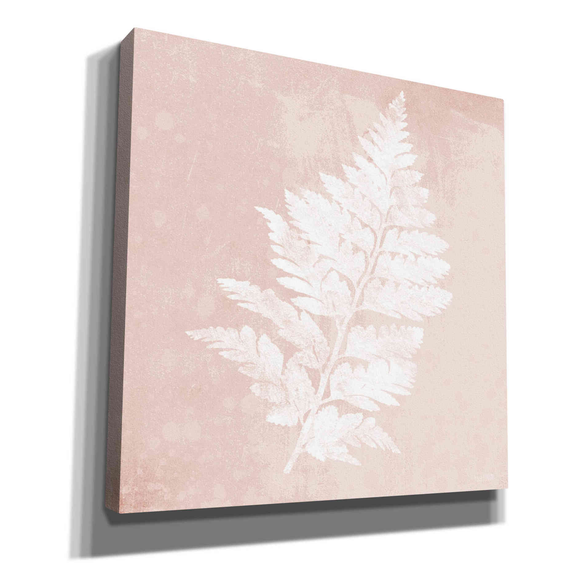 'Blush Fern II' by House Fenway, Canvas Wall Art