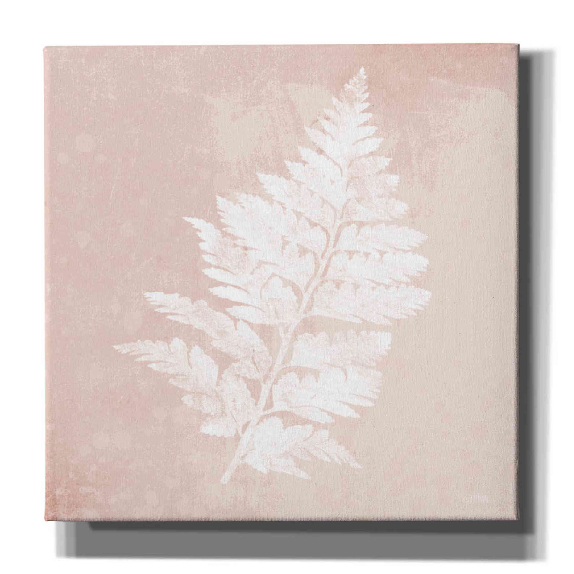 'Blush Fern II' by House Fenway, Canvas Wall Art