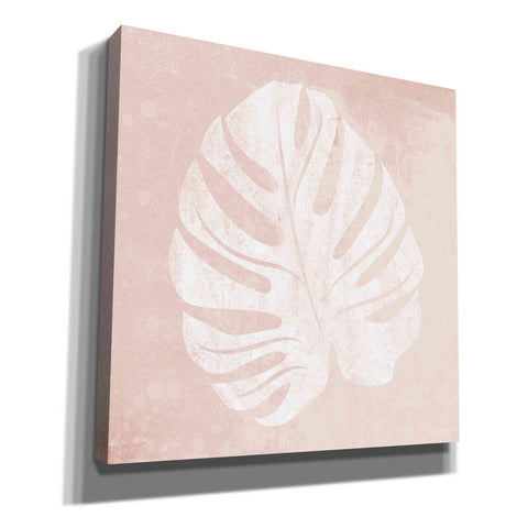 Image of 'Blush Fern III' by House Fenway, Canvas Wall Art