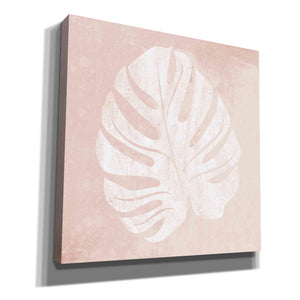 'Blush Fern III' by House Fenway, Canvas Wall Art