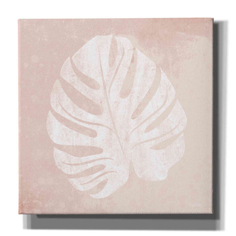 Image of 'Blush Fern III' by House Fenway, Canvas Wall Art