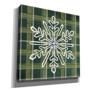 'Green Plaid Snowflakes' by House Fenway, Canvas Wall Art