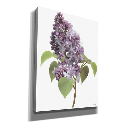 Image of 'Lilac Stem' by House Fenway, Canvas Wall Art