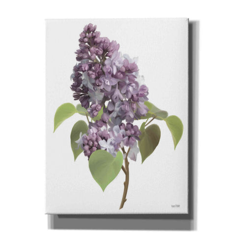 Image of 'Lilac Stem' by House Fenway, Canvas Wall Art