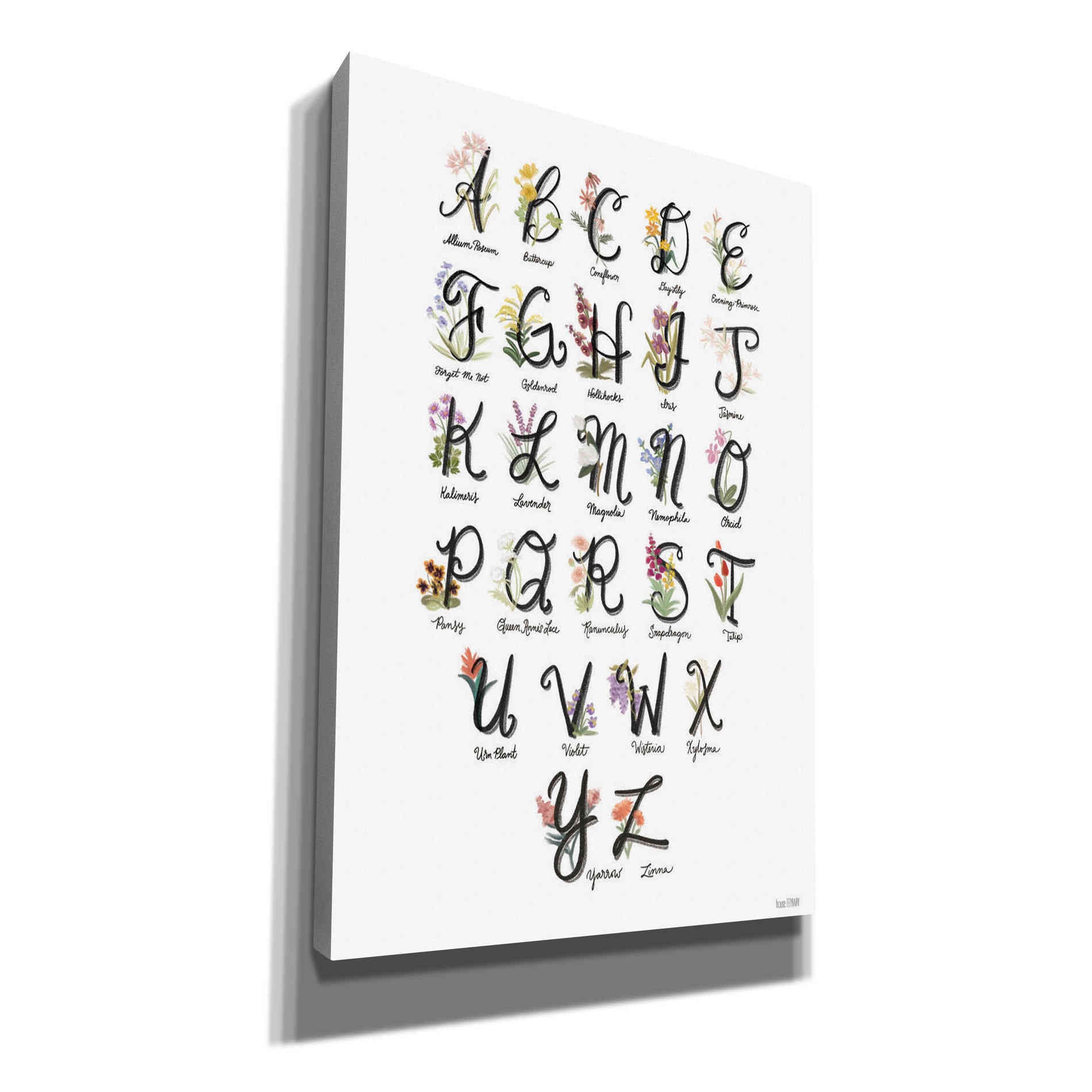 'Flower Alphabet in White' by House Fenway, Canvas Wall Art