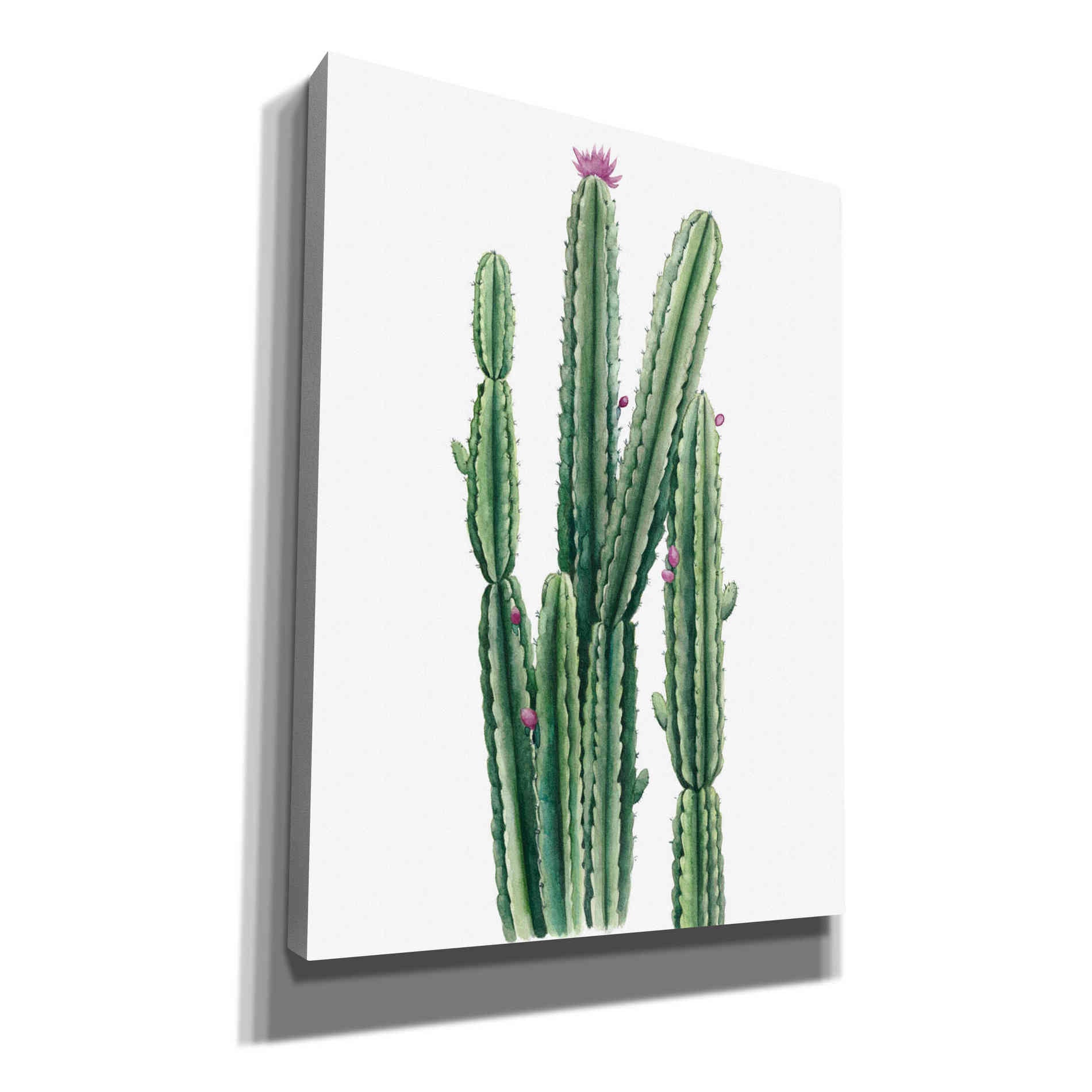 'Desert Blooms II' by Grace Popp, Canvas Wall Art