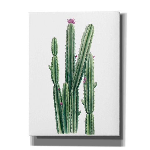 Image of 'Desert Blooms II' by Grace Popp, Canvas Wall Art
