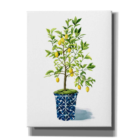 Image of 'Fruit Tree II' by Grace Popp, Canvas Wall Art