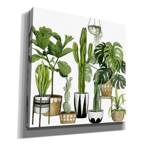 Image of 'Plant Haven I' by Grace Popp, Canvas Wall Art