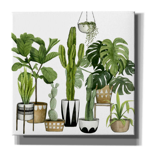 Image of 'Plant Haven I' by Grace Popp, Canvas Wall Art