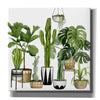 'Plant Haven I' by Grace Popp, Canvas Wall Art