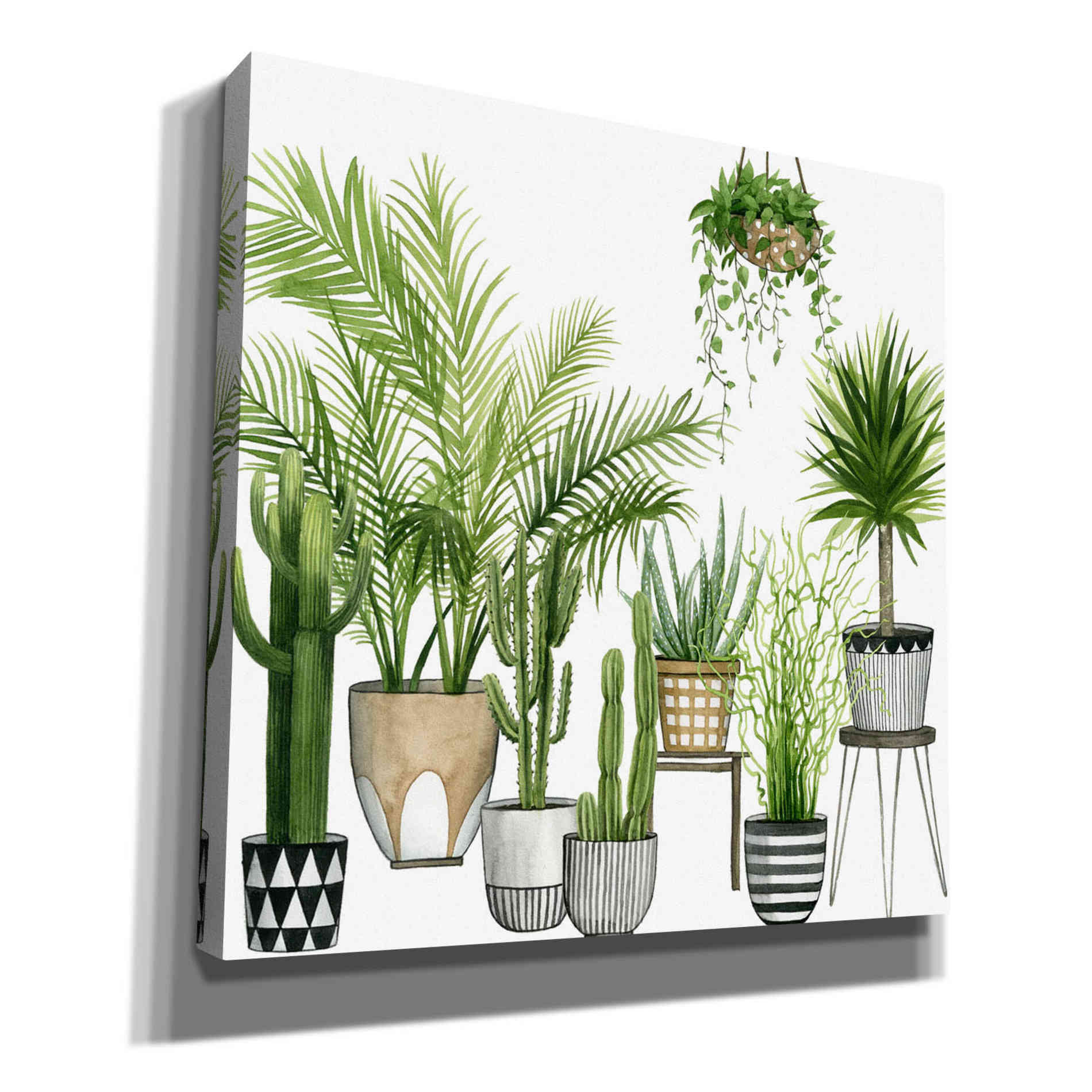 'Plant Haven II' by Grace Popp, Canvas Wall Art