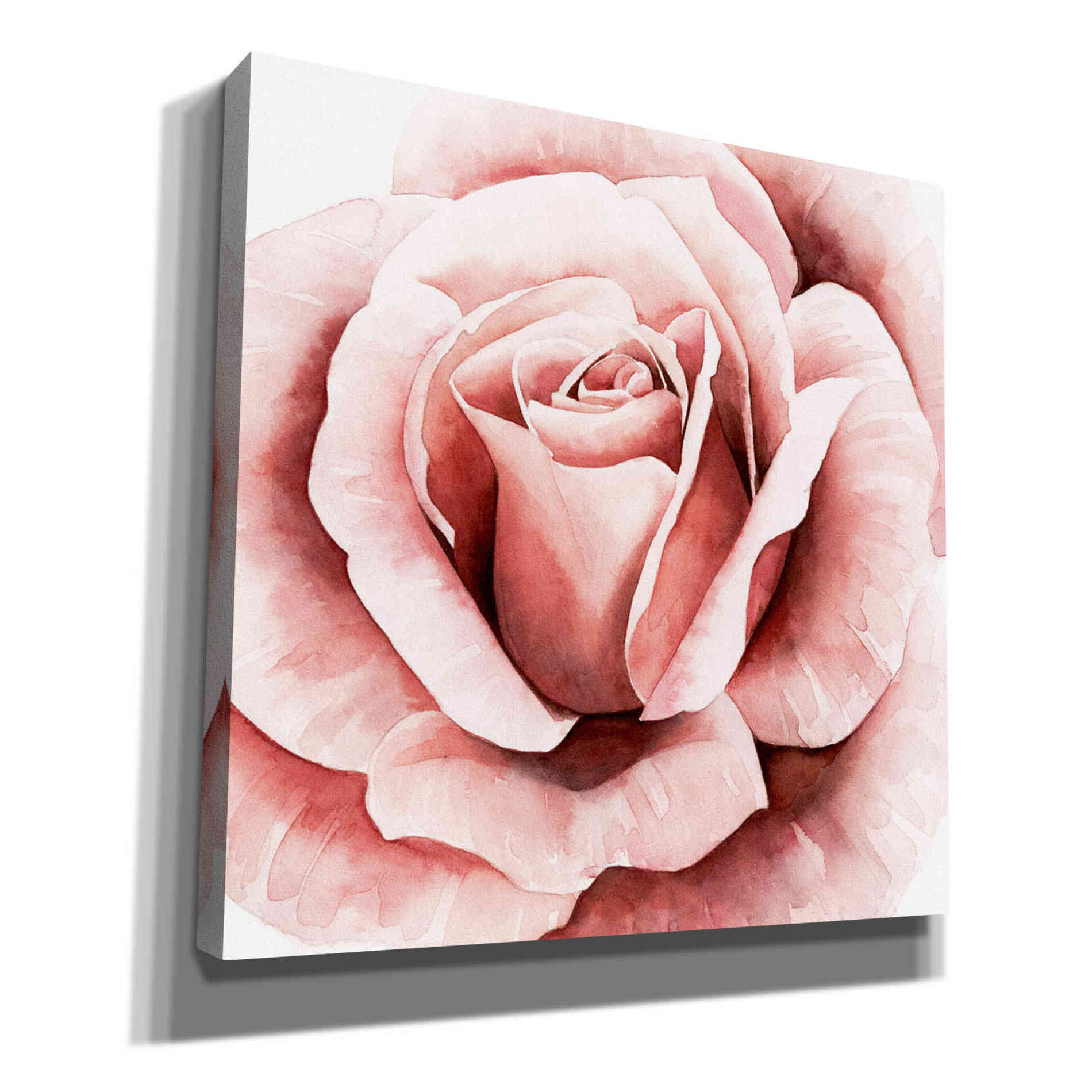 'Pink Rose II' by Grace Popp, Canvas Wall Art