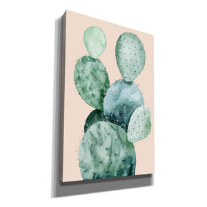 'Cactus on Coral II' by Grace Popp, Canvas Wall Art