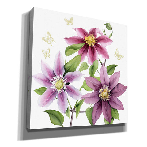 Image of 'Clematis Climb II' by Grace Popp, Canvas Wall Art