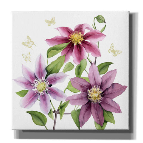 Image of 'Clematis Climb II' by Grace Popp, Canvas Wall Art