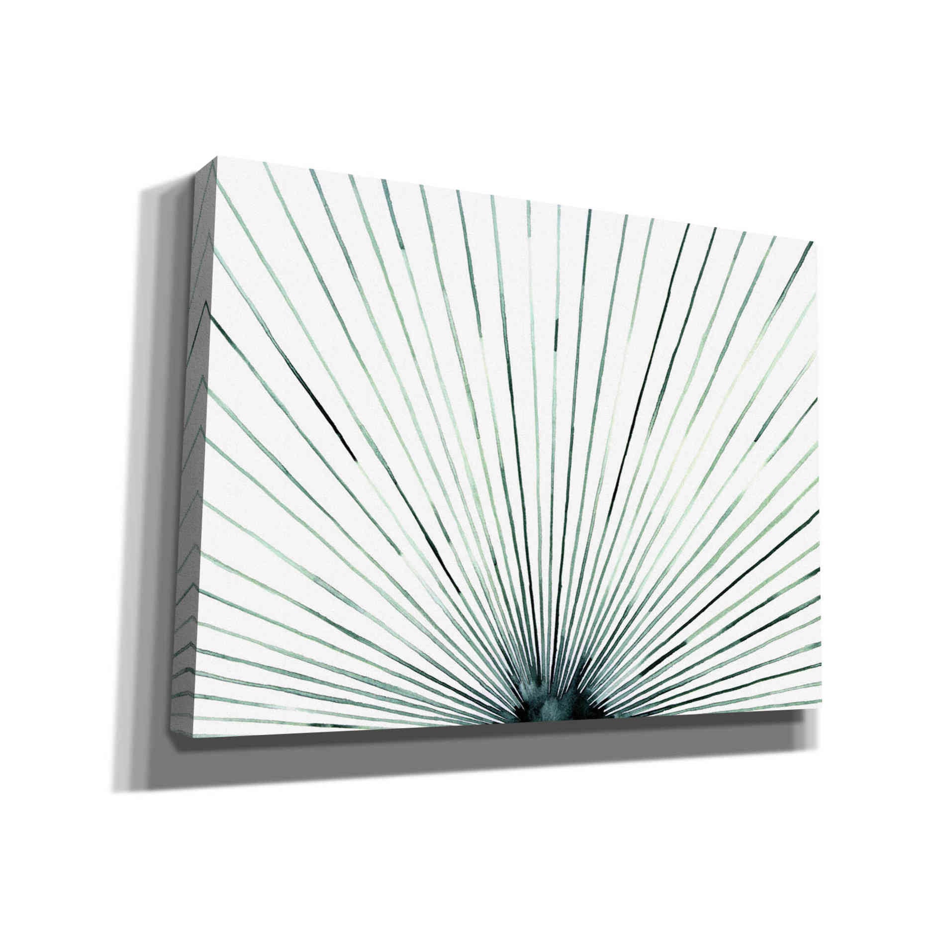 'Strobe I' by Grace Popp, Canvas Wall Art