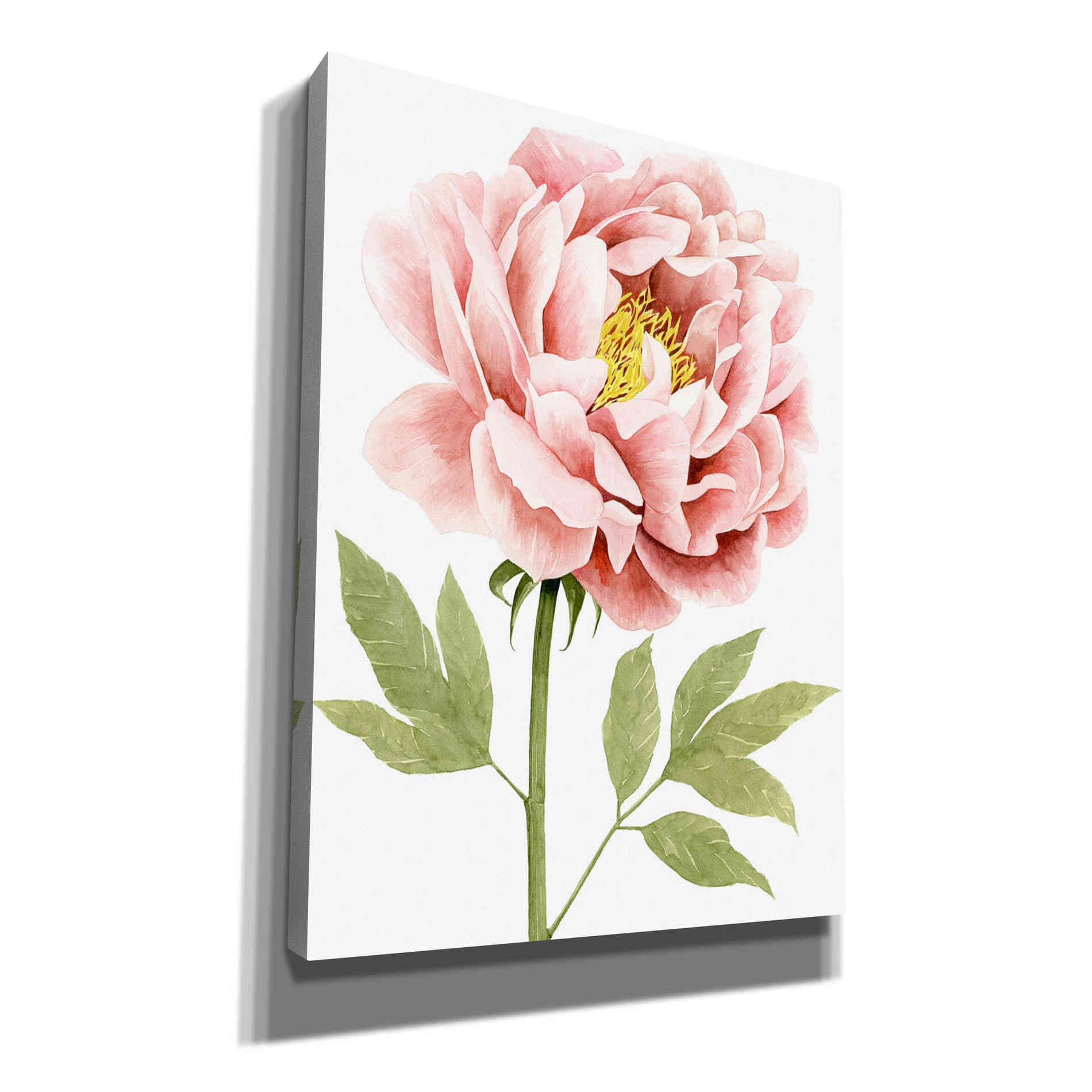'Watercolor Peony I' by Grace Popp, Canvas Wall Art