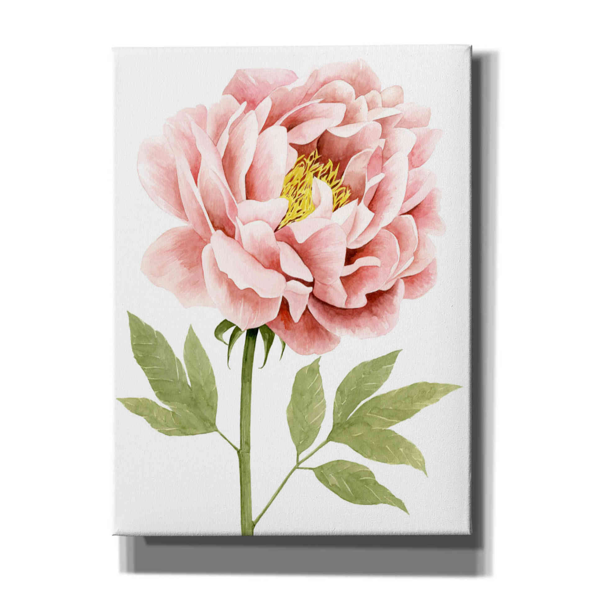 'Watercolor Peony I' by Grace Popp, Canvas Wall Art