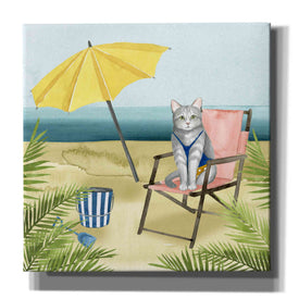 'Coastal Kitties II' by Grace Popp, Canvas Wall Art