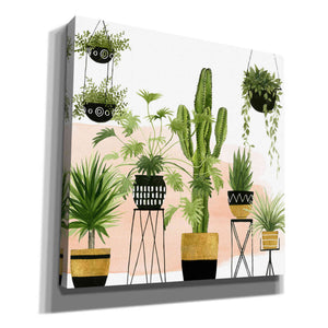 'Indoor Oasis I' by Grace Popp, Canvas Wall Art