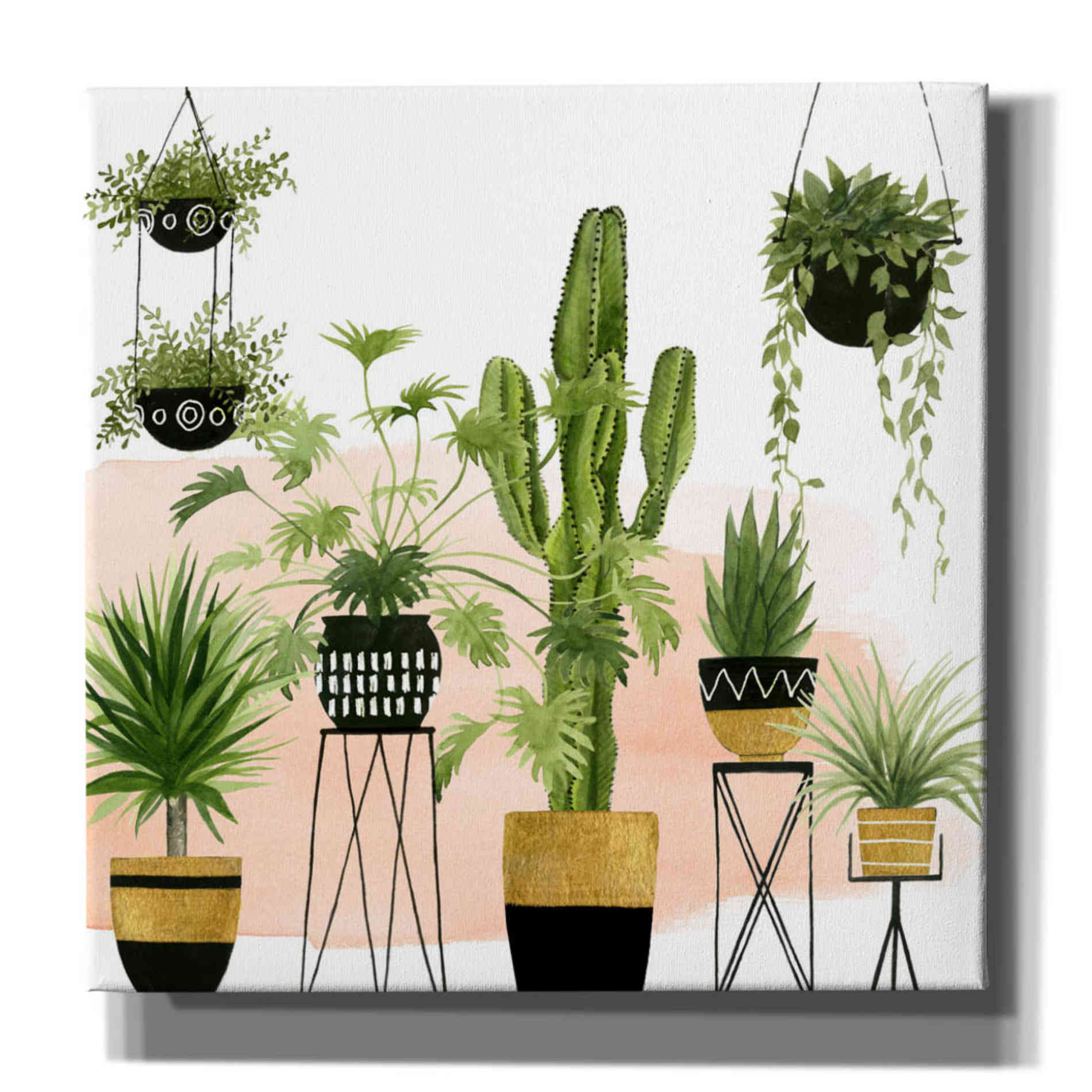 'Indoor Oasis I' by Grace Popp, Canvas Wall Art