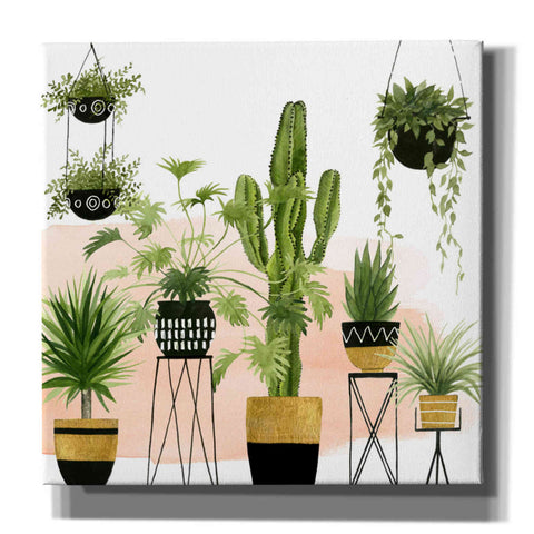 Image of 'Indoor Oasis I' by Grace Popp, Canvas Wall Art