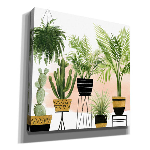 Image of 'Indoor Oasis II' by Grace Popp, Canvas Wall Art