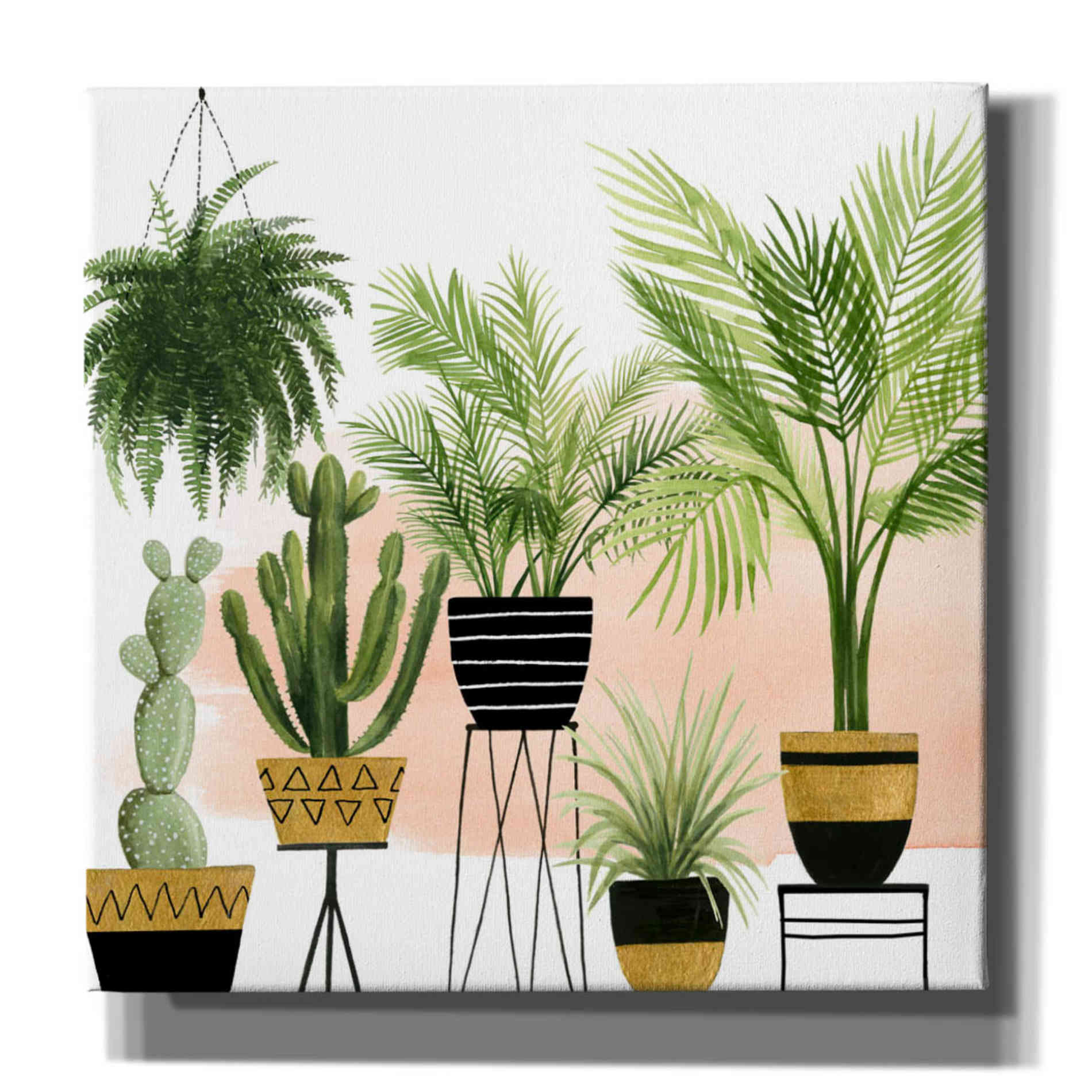 'Indoor Oasis II' by Grace Popp, Canvas Wall Art