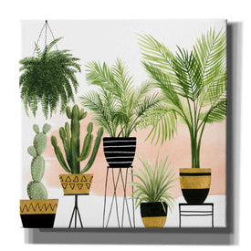 'Indoor Oasis II' by Grace Popp, Canvas Wall Art