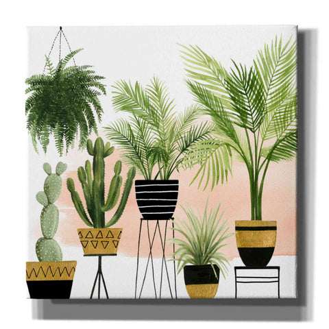Image of 'Indoor Oasis II' by Grace Popp, Canvas Wall Art
