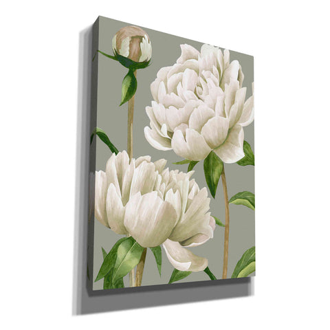 Image of 'White Peonies I' by Grace Popp, Canvas Wall Art