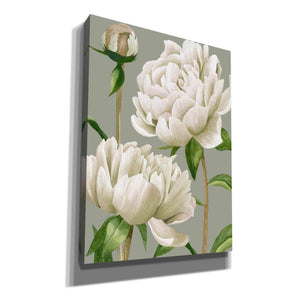 'White Peonies I' by Grace Popp, Canvas Wall Art