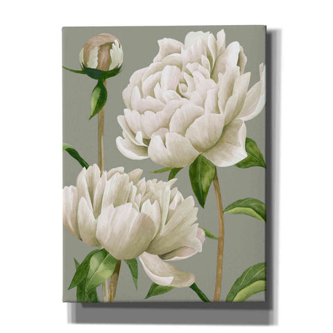 Image of 'White Peonies I' by Grace Popp, Canvas Wall Art