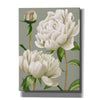 'White Peonies I' by Grace Popp, Canvas Wall Art