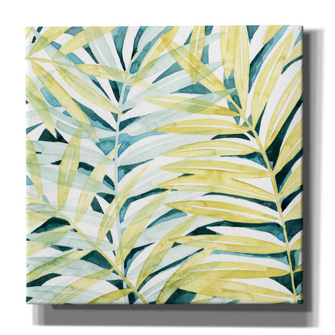 Image of 'Sunlit Palms I' by Grace Popp, Canvas Wall Art