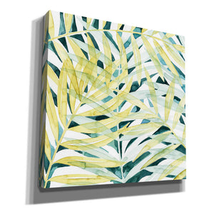'Sunlit Palms II' by Grace Popp, Canvas Wall Art