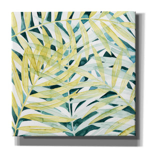 'Sunlit Palms II' by Grace Popp, Canvas Wall Art