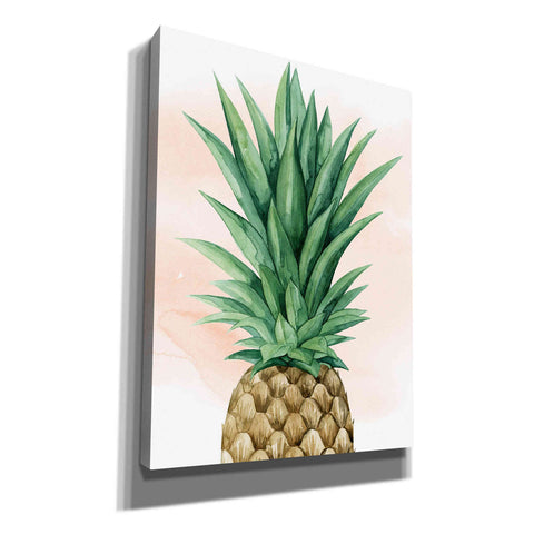 Image of 'Pineapple on Coral I' by Grace Popp, Canvas Wall Art