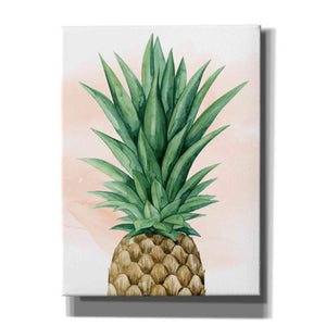 'Pineapple on Coral I' by Grace Popp, Canvas Wall Art