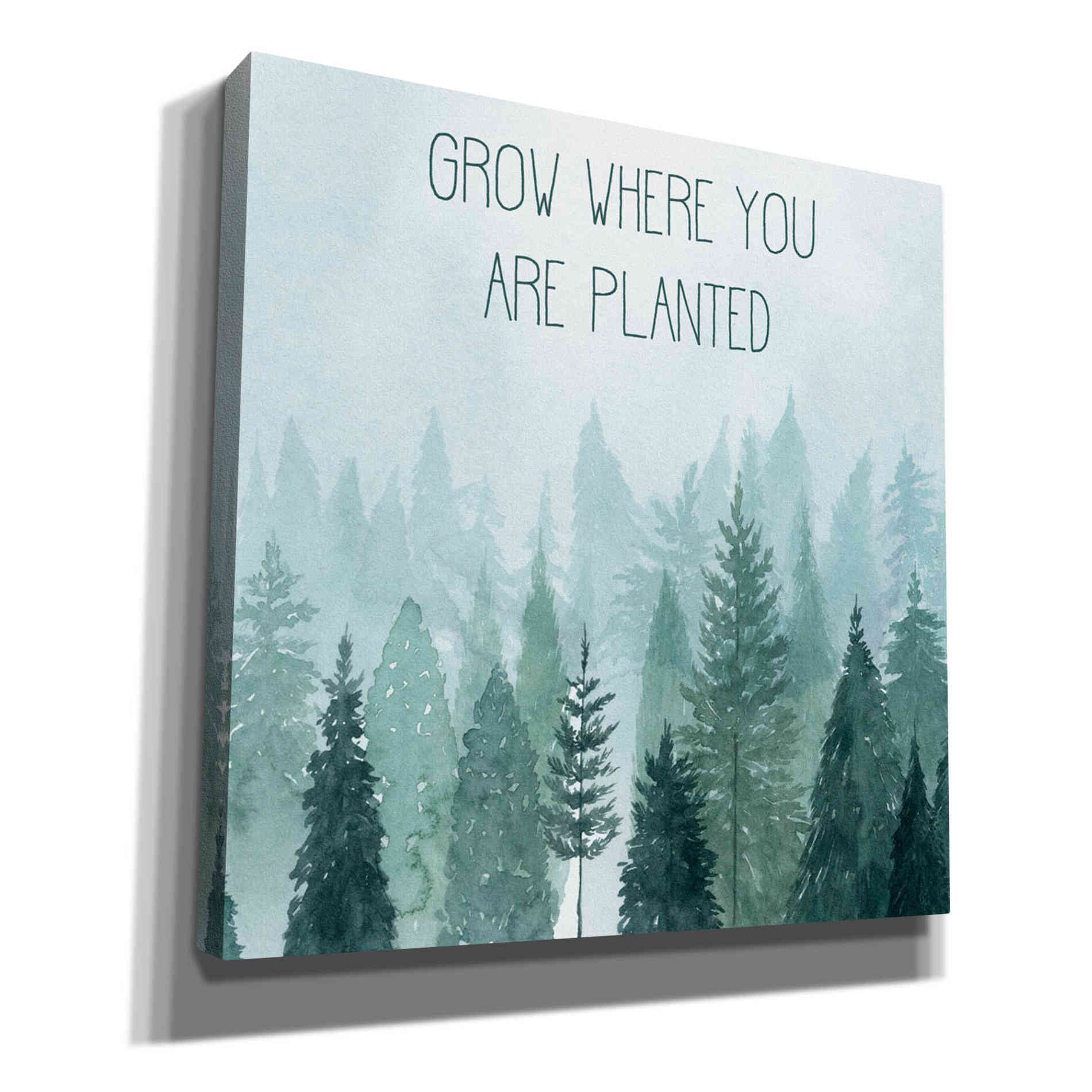 'Little Grower II' by Grace Popp, Canvas Wall Art