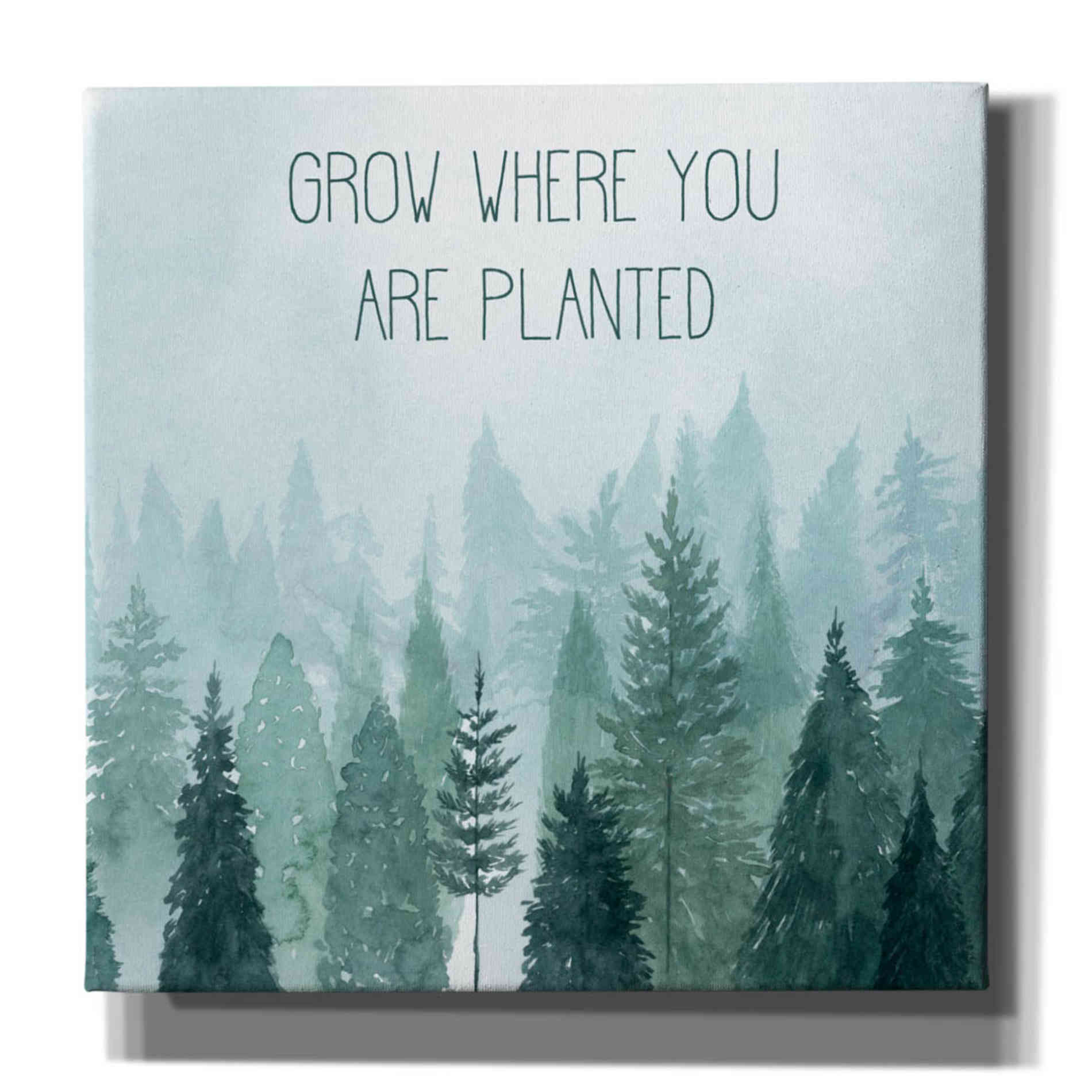 'Little Grower II' by Grace Popp, Canvas Wall Art