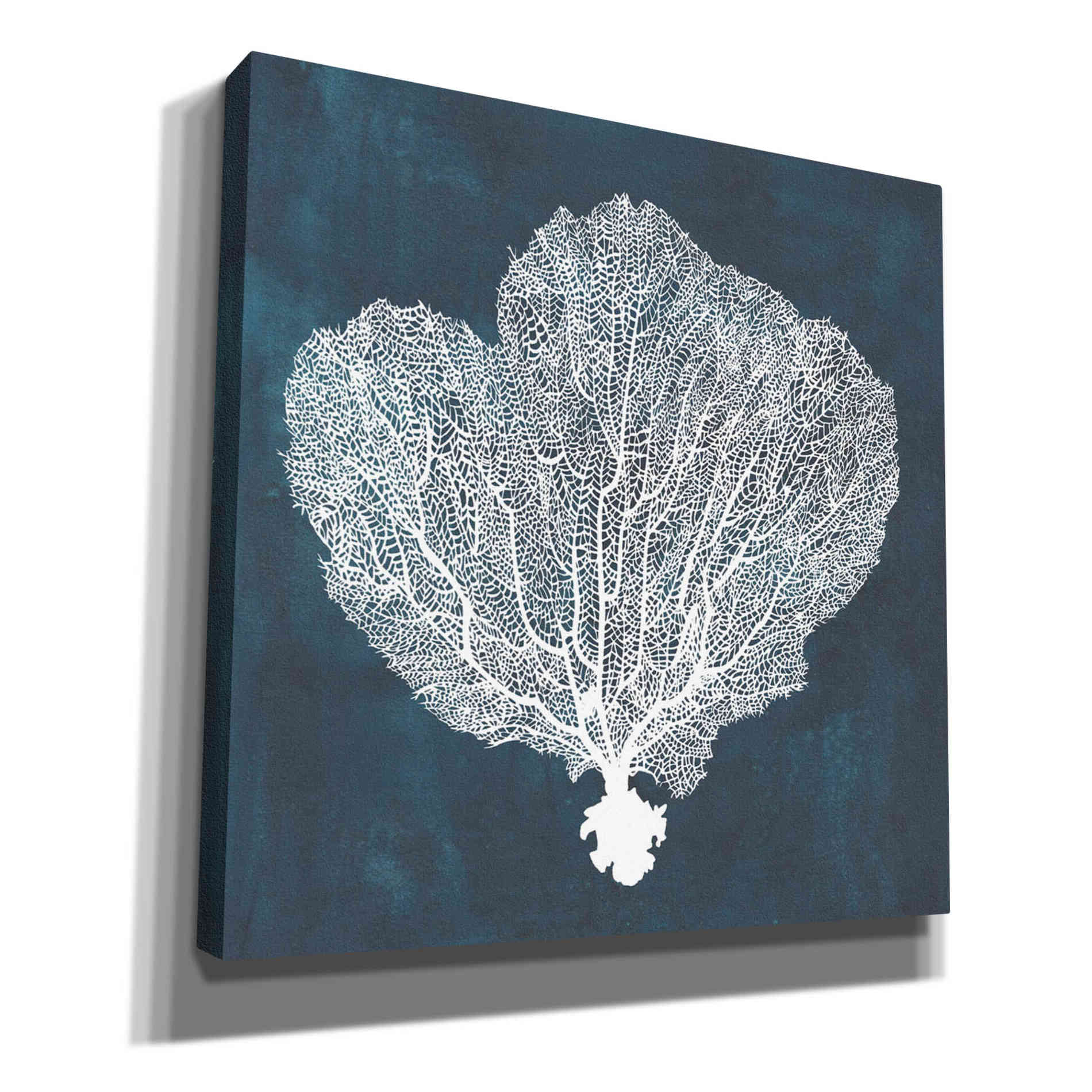 'Inverse Sea Fan I' by Grace Popp, Canvas Wall Art