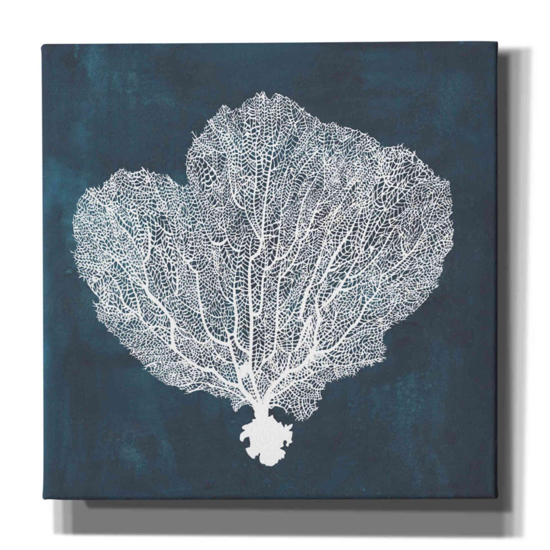 'Inverse Sea Fan I' by Grace Popp, Canvas Wall Art