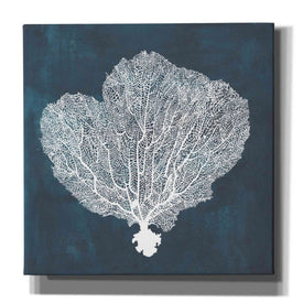 'Inverse Sea Fan I' by Grace Popp, Canvas Wall Art