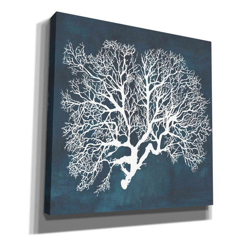 Image of 'Inverse Sea Fan III' by Grace Popp, Canvas Wall Art