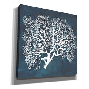 'Inverse Sea Fan III' by Grace Popp, Canvas Wall Art