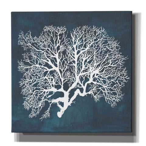 Image of 'Inverse Sea Fan III' by Grace Popp, Canvas Wall Art