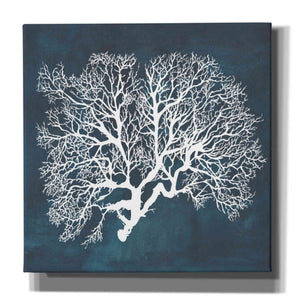 'Inverse Sea Fan III' by Grace Popp, Canvas Wall Art